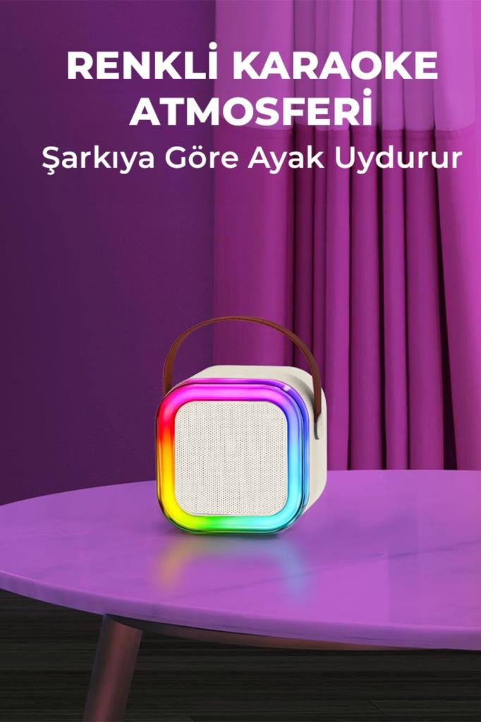 2 Mikrofonlu Karaoke Hoparlör Seti