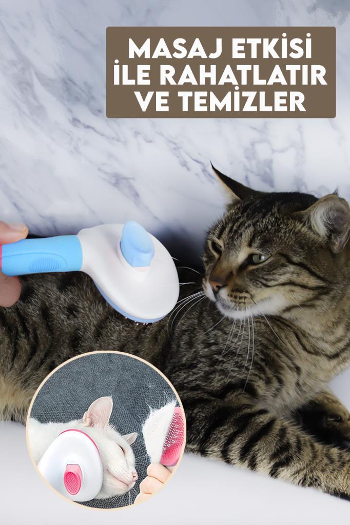 Arkadan Basmalı Evcil Hayvan Tarağı Mavi Renk