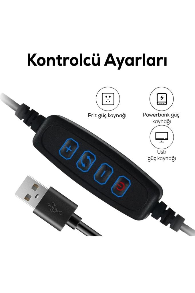 Dekoratif Kıvrımlı Masa Lambası