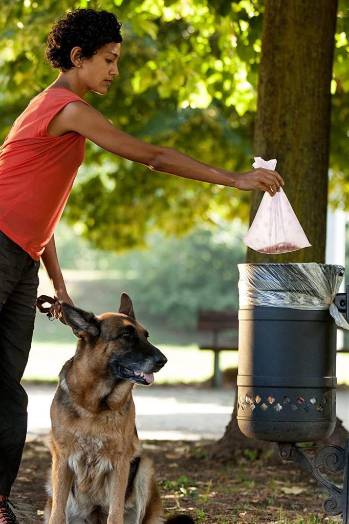 Desenli Evcil Hayvan Dışkı Toplama Rulo Poşeti 1 Paket