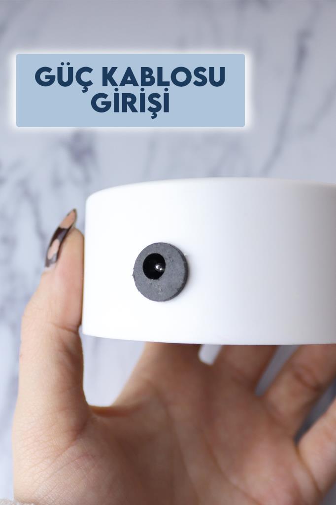 (KIRILABİLİR)DP-86 Dekoratif Kaktüs Neon Led Gece Lambası