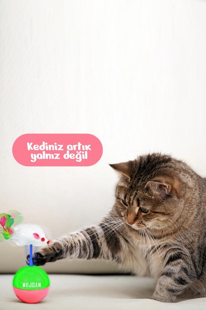 Hacıyatmaz Evcil Hayvan Tüylü Fare Şekilli Kedi Köpek Oyuncak Top