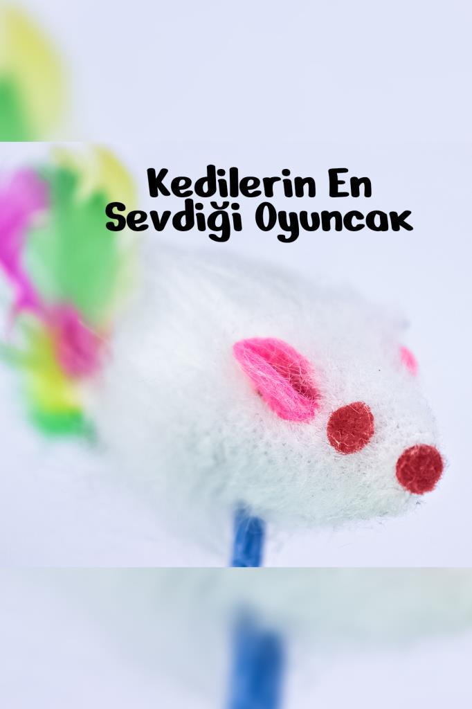 Hacıyatmaz Evcil Hayvan Tüylü Fare Şekilli Kedi Köpek Oyuncak Top