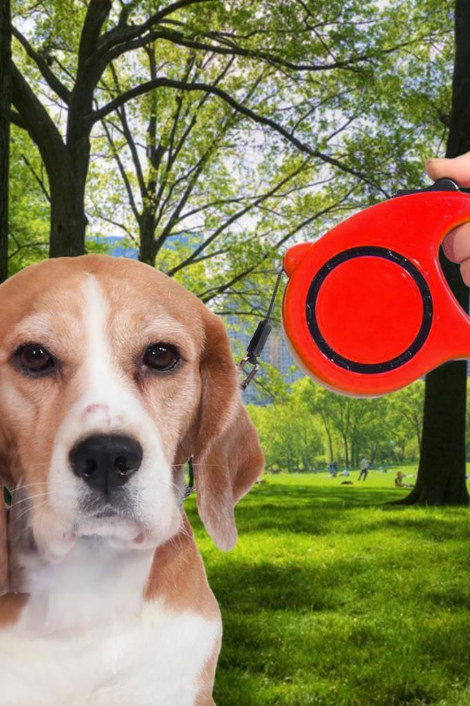 Makaralı Otomatik Köpek Tasması 3 Metre Kırmızı