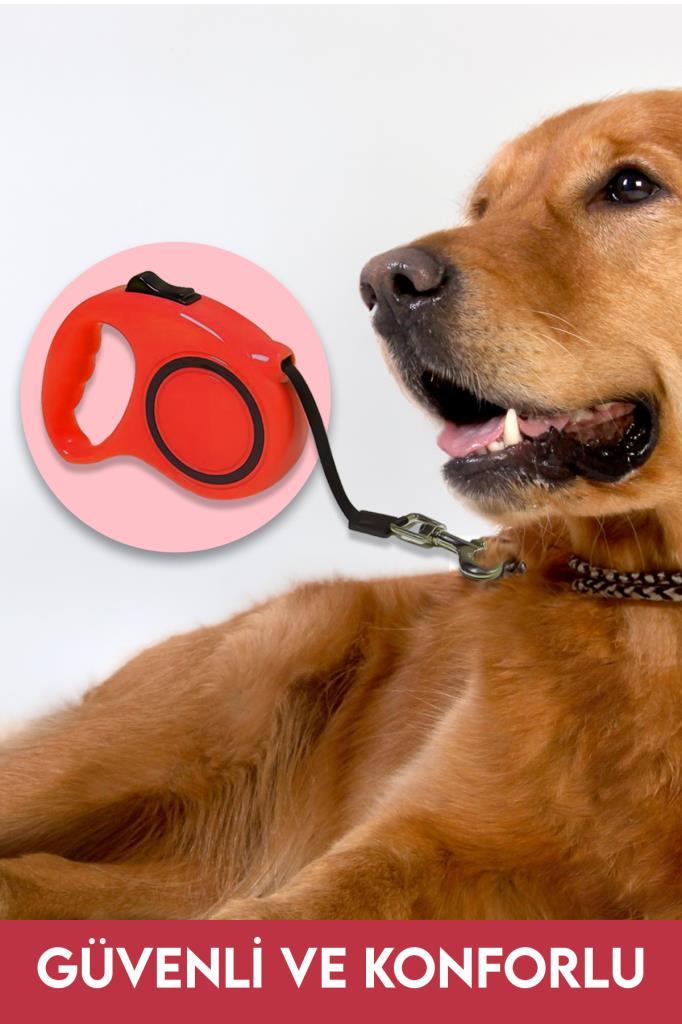 Makaralı Otomatik Köpek Tasması 3 Metre Kırmızı