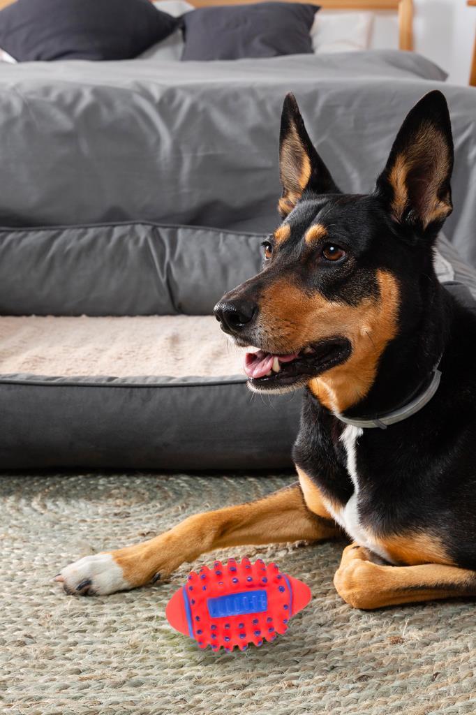 Kedi Köpek Dikenli Isırma Topu