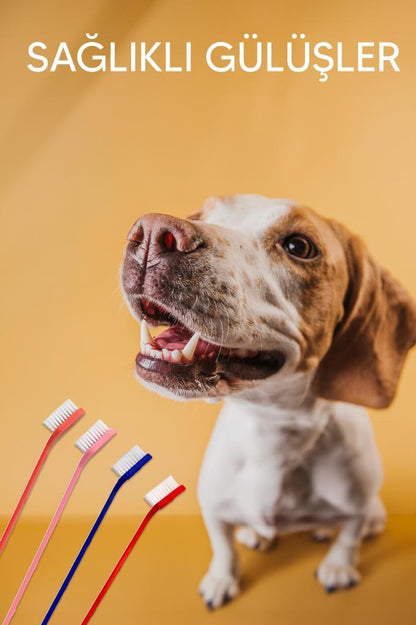 4'lü Kedi Köpek Diş Fırçası