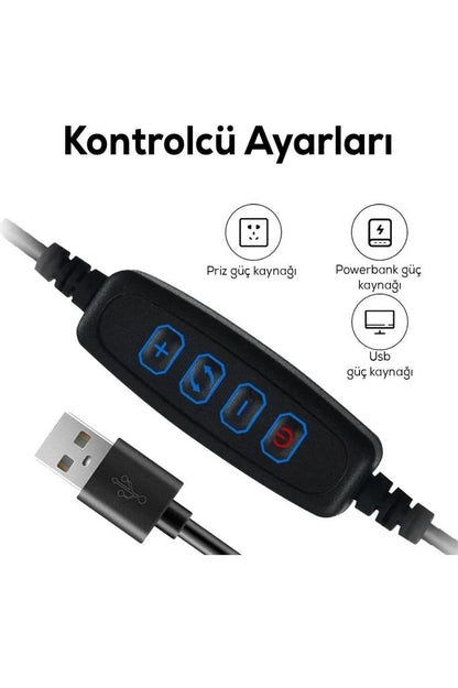 Dekoratif Kıvrımlı Masa Lambası