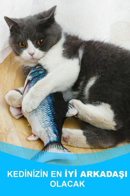 Hareketli Titreşimli Oynayan Balık Nemo Kedi Oyuncak MJGN-52A