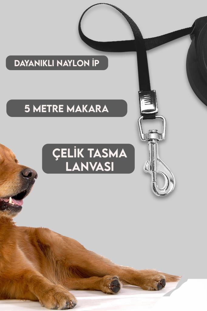 Makaralı Otomatik Köpek Tasması 5 Metre Siyah