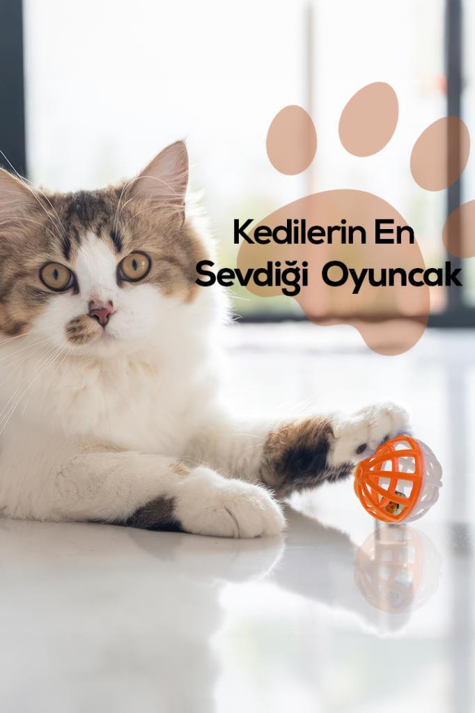 Zilli Kedi Oyun Topu