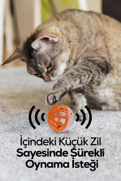 Zilli Kedi Oyun Topu